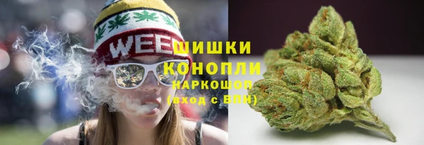 хмурый Вяземский