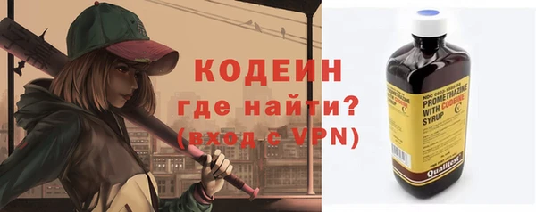 хмурый Вяземский