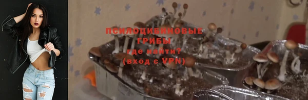 ECSTASY Вязьма