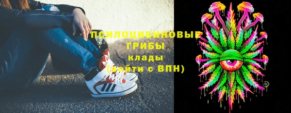 ECSTASY Вязьма