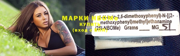 хмурый Вяземский