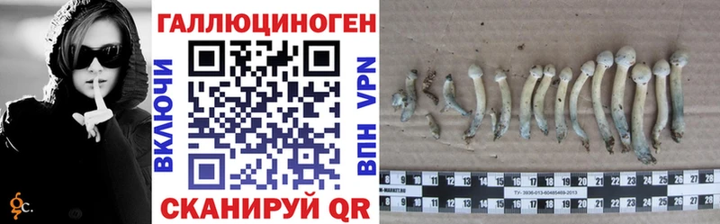 Купить  Мегион  Псилоцибиновые грибы прущие грибы 